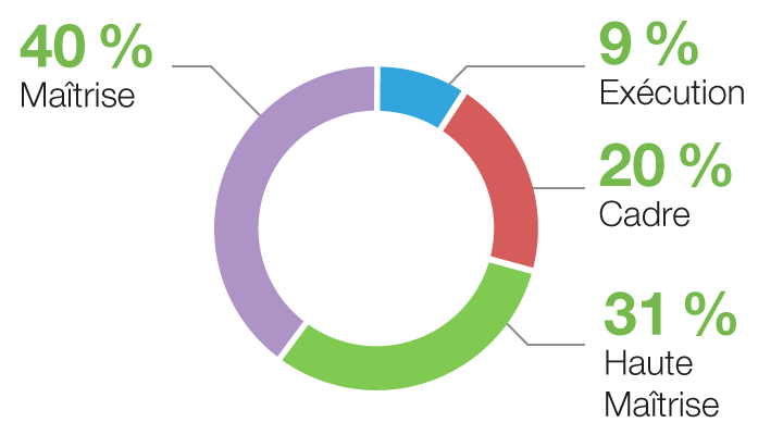 9 % Exécution, 20 % Cadre, 31 % Haute Maîtrise et 40 % Maîtrise